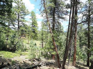 188 Lark Ln, Bailey, CO 80421