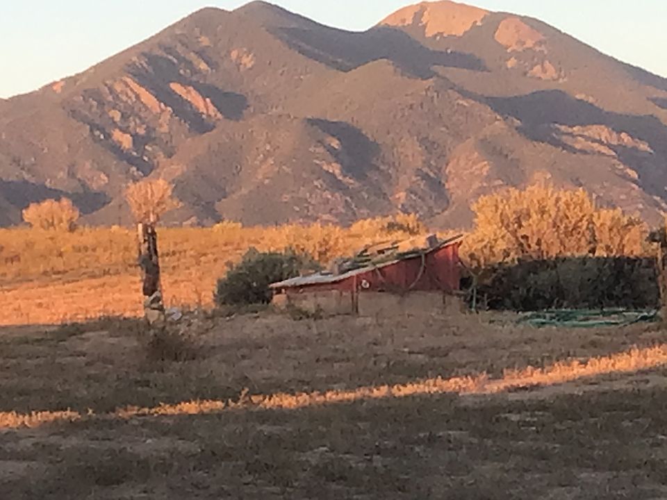 View of the backyard!