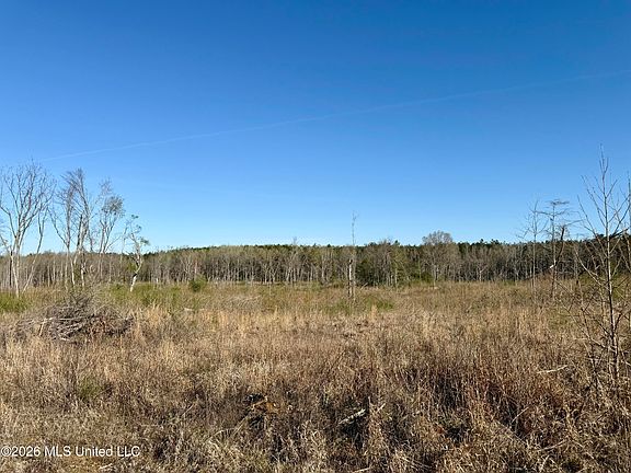 5th image of 385 Vanarsdale Rd