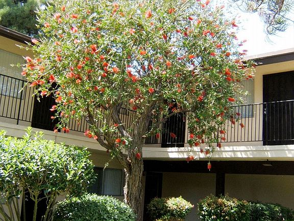 View from Apartment Front