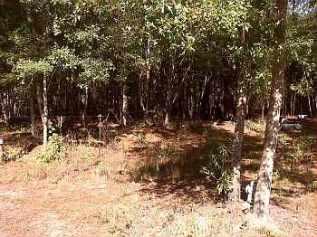 1st image of 1242 Breezewood