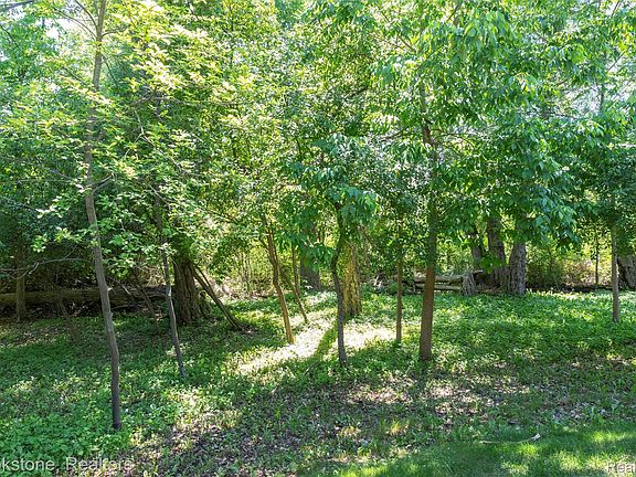 4th image of 10295 Northridge Ct