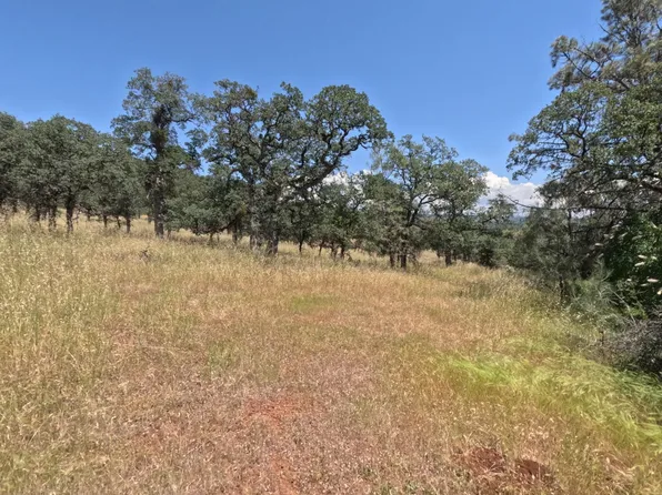 Hazen Rd, Manton, CA 96059