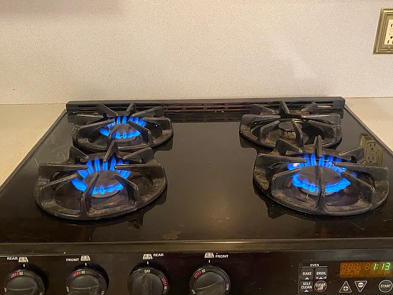 Gas stove