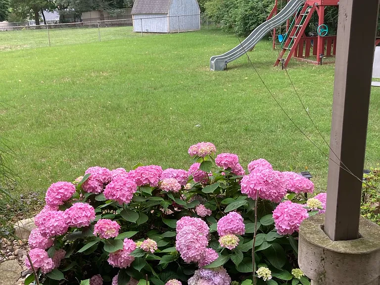 2 Catalina Ct — Photo 27