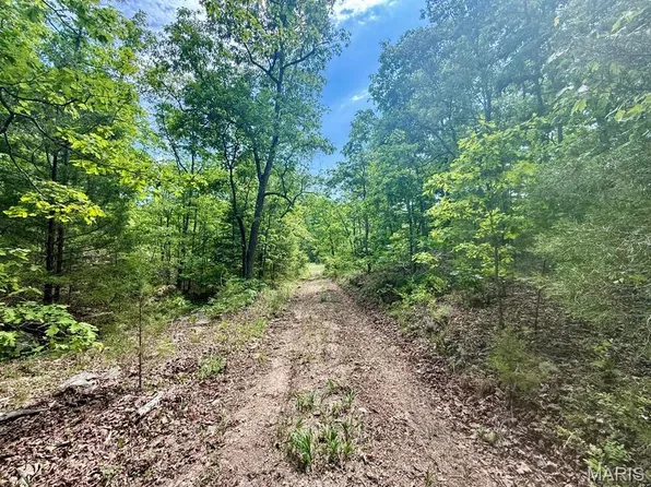 0 Bailey Rd, Licking, MO 65542