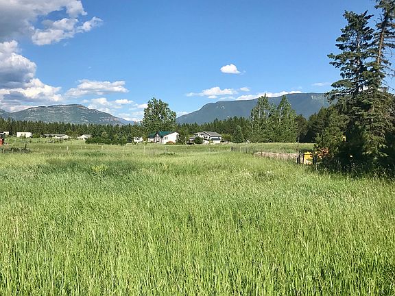 Back field. 