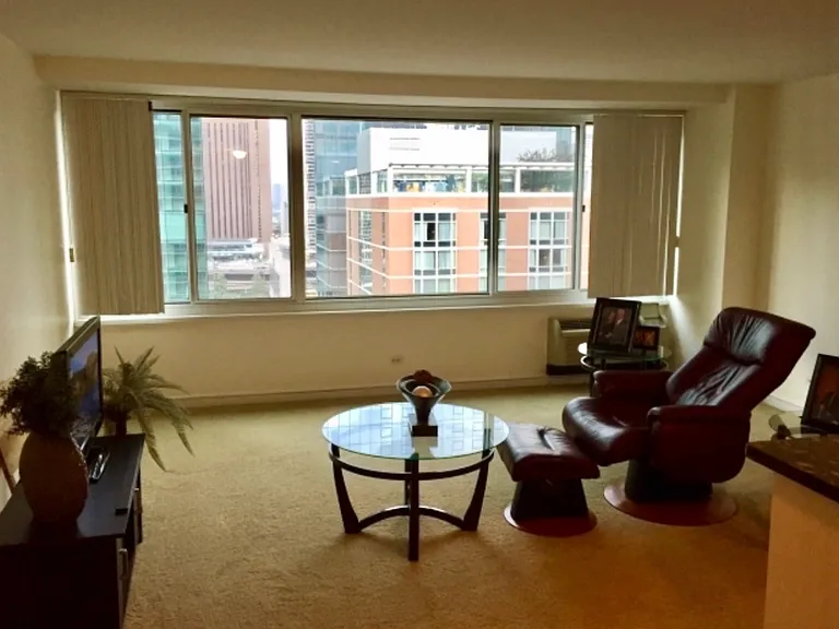 211 E Ohio St #2113 — Photo 9