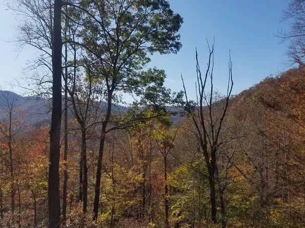 28 Southpaw Way, Franklin, NC 28734