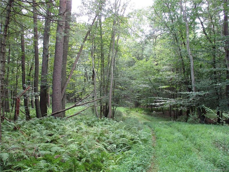 1st image of 1563 Us Route 209