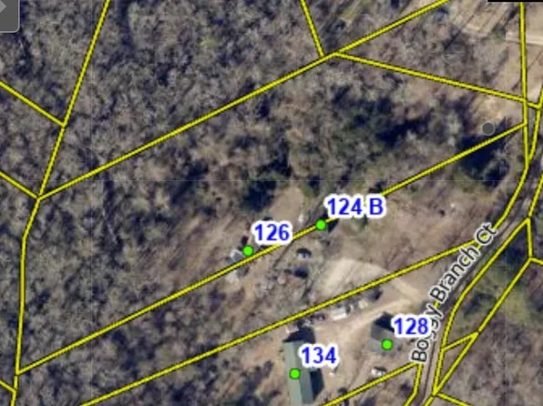 124 Boggy Branch Ct, Gaston, SC 29053