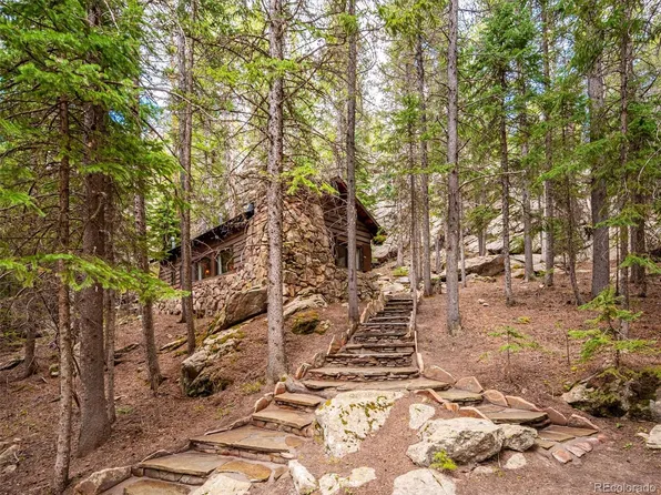 8995 Carol Lane, Conifer, CO 80433