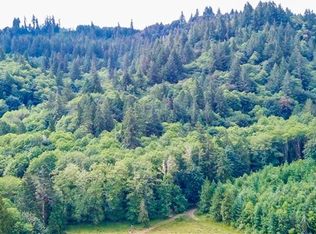 251 Williams Creek Rd, Oakville, WA 98568