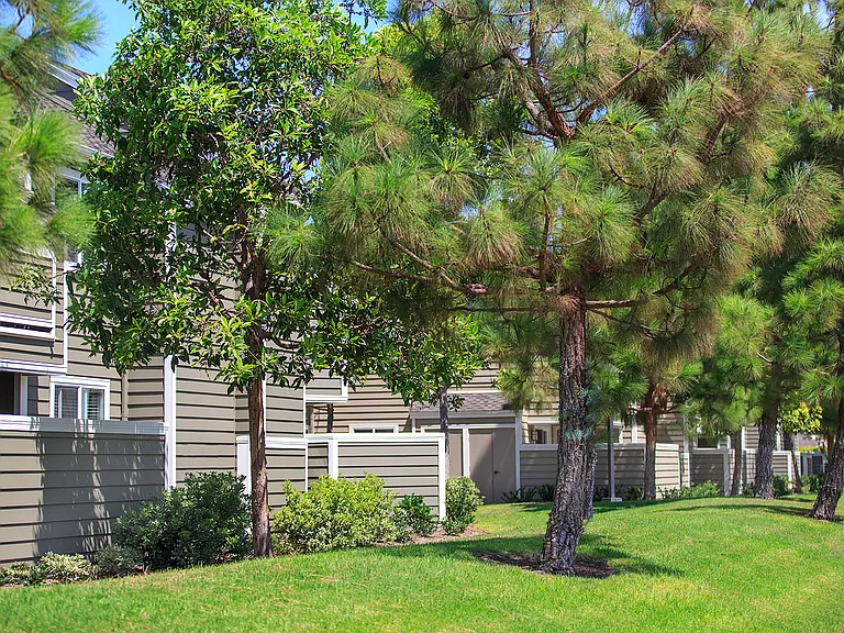 Windwood Glen Apartment Homes — Photo 18