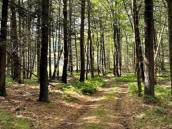 4th image of Split Rock Drive