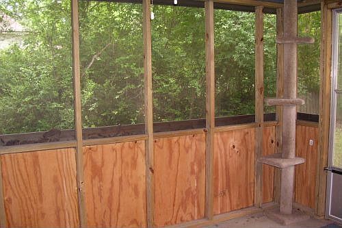 Back Porch/Yard