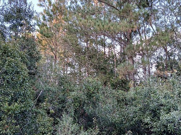 3rd image of 0 Kings Bay Rd