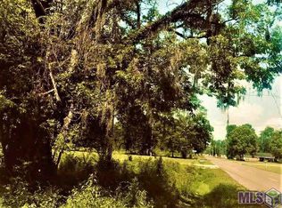 40167 William Ficklin Rd, Gonzales, LA 70737