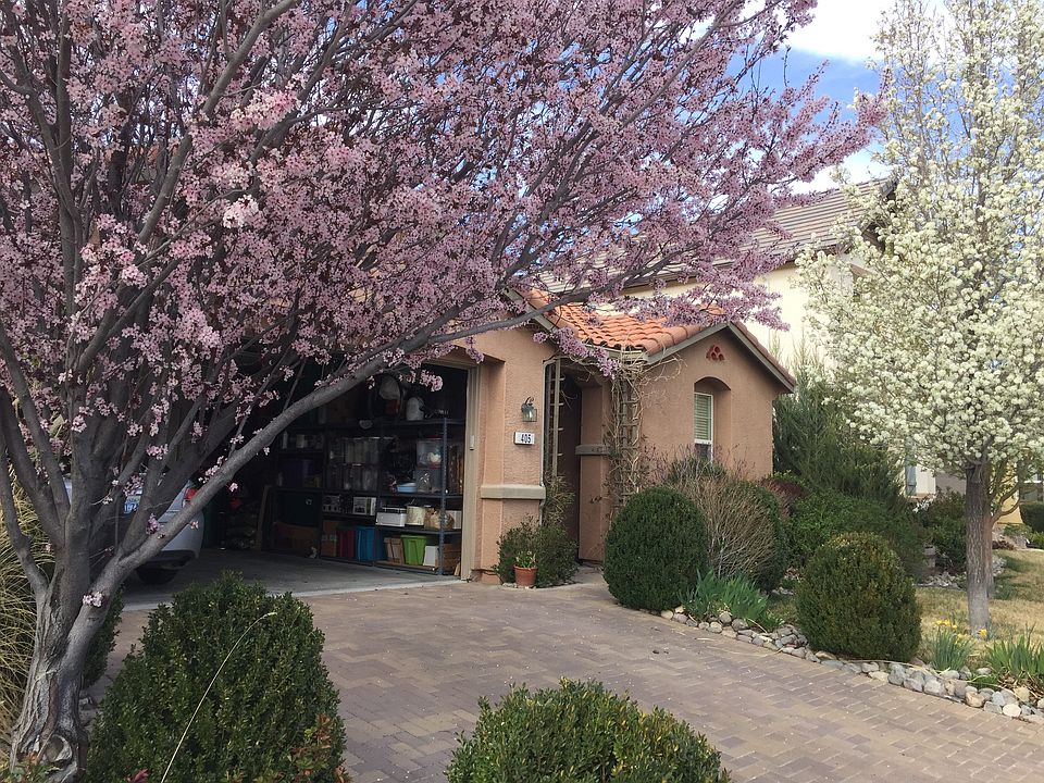 Spring time front yard