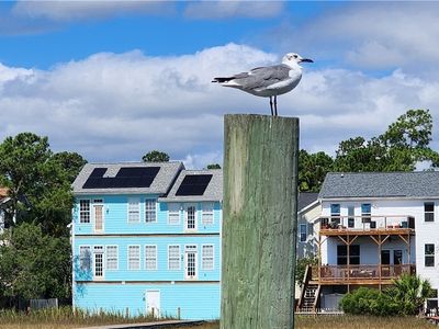 115 Picket Row, Savannah, GA, 31410