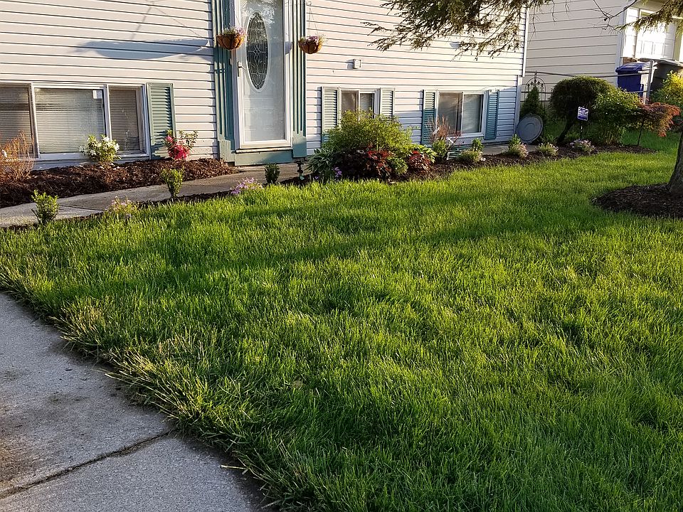 2nd image of 2729 Woodcutter Ave