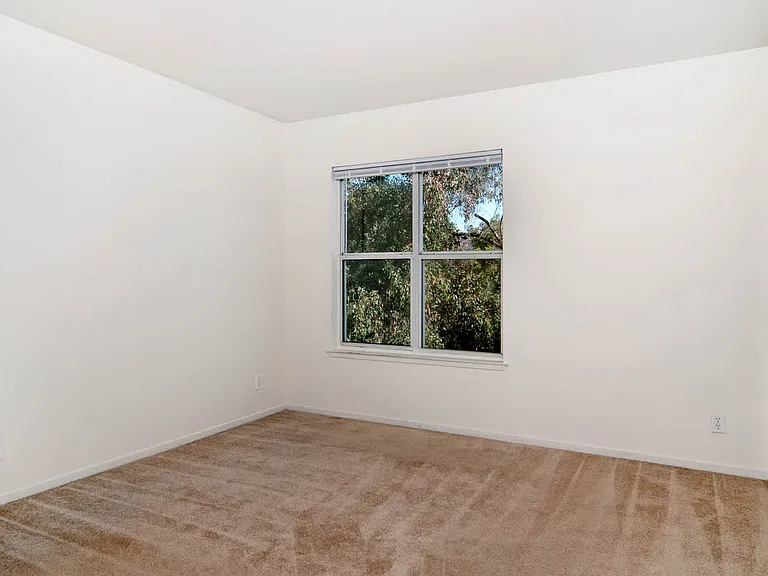 Carpeted Bedroom