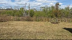 1629 Tropical Oasis Ave — Photo 25