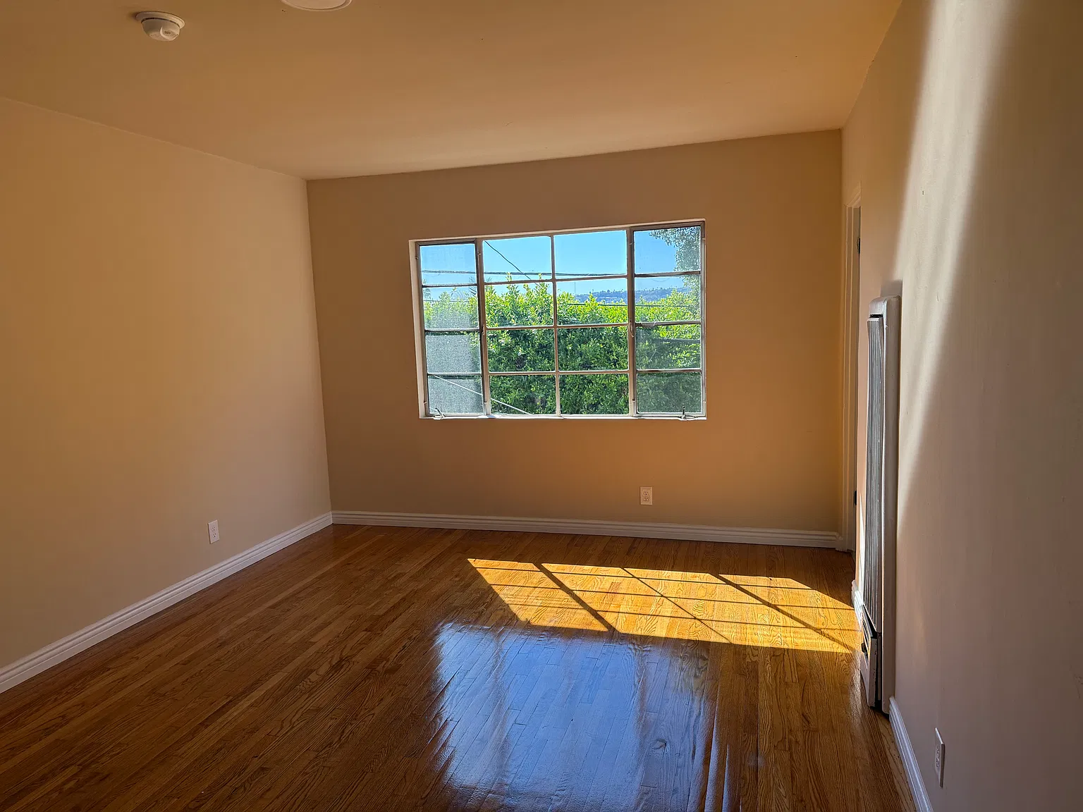 1 bed, $1,995 — Photo 2