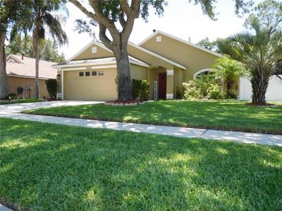 24202 Royal Fern Dr, Lutz, FL, 33559