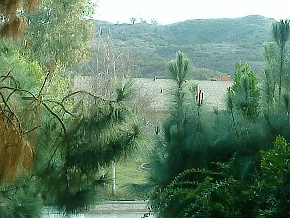 view from office