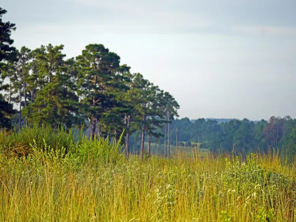 8301 State Highway 7 E, Centerville, TX 75833