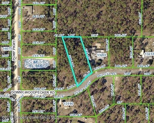 LOT 52 Downy Woodpecker - Aerial - Flood