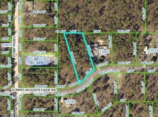 13351 Downy Woodpecker Rd, Weeki Wachee, FL 34614