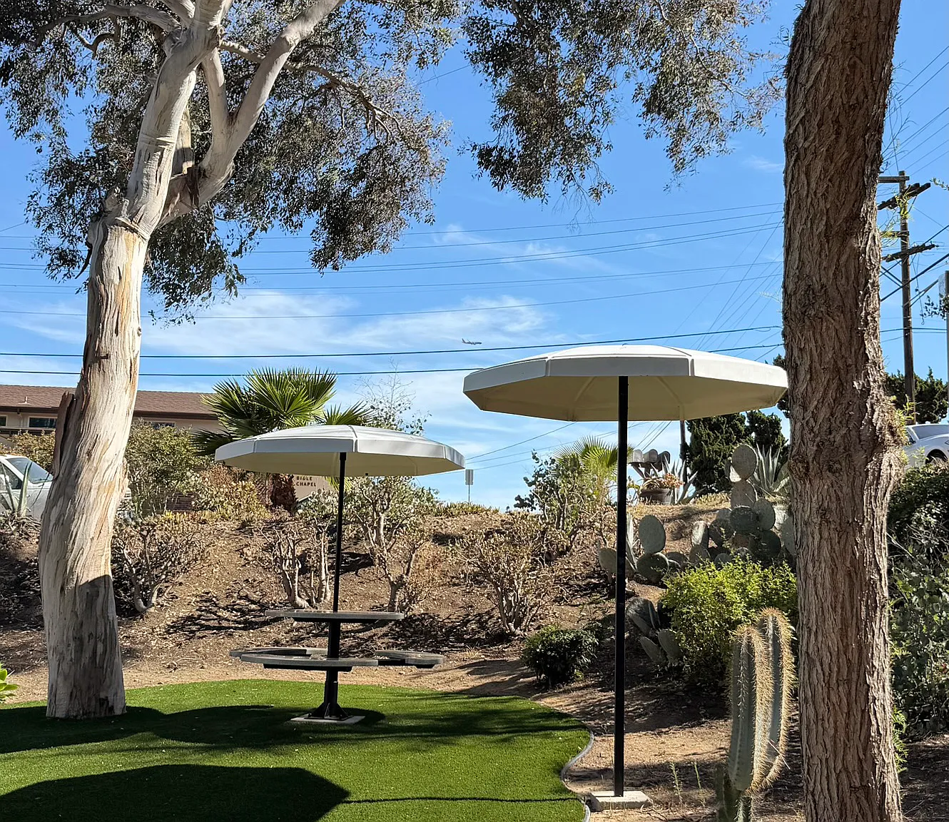 2 bed, 680 sqft, $2,700 — Photo 4