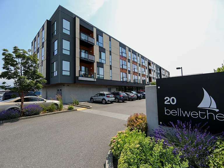 20 Bellwether — Photo 19