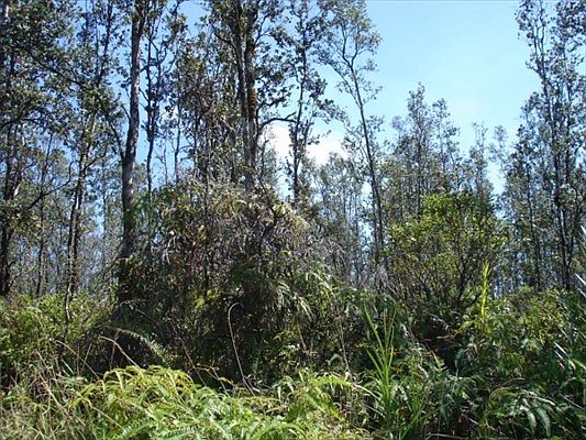 2nd image of 16-549 Aulii St Lot 73