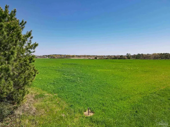 5872 S State Hwy #99, Mc David, FL 32568