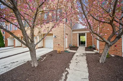 4647 Red Admiral Way — Photo 2