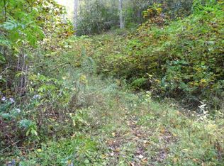 26 Briggs Cv, Stecoah, NC 28771