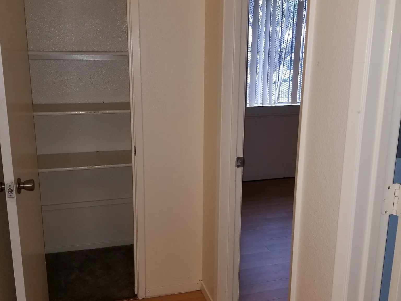 2 bed, 840 sqft, $1,600 — Photo 3