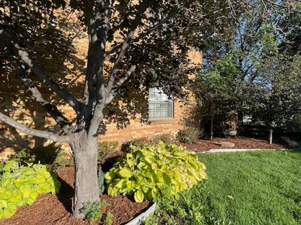 Swedish Plaza Apartments