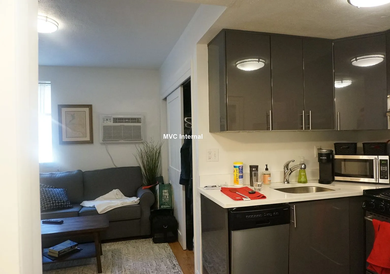 Nice 1 bed in Brookline — Photo 3