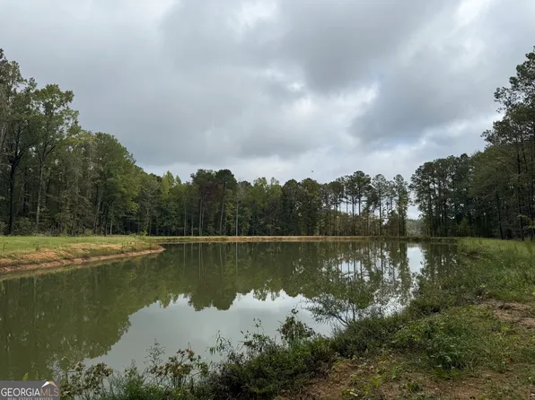 585 Deer Trl, Box Springs, GA 31801