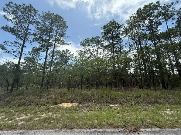 NW Tree Top Rd Lot 11, Dunnellon, FL 34431