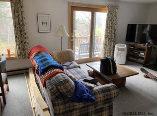 50 Freebern Rd, North Creek, NY 12853