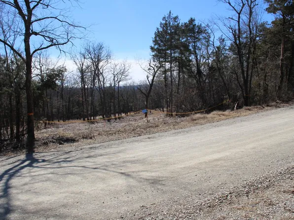 237 Mc #6008, Yellville, AR 72687