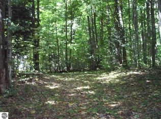 9837 Cunningham Rd, Mancelona, MI 49659