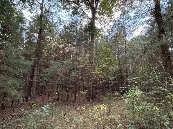 350 Walker Gravel Pit Rd, Dry Prong, LA 71423