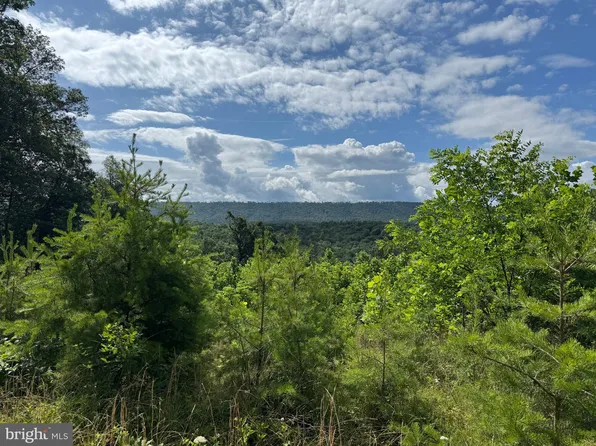 Top Dr, Romney, WV 26757