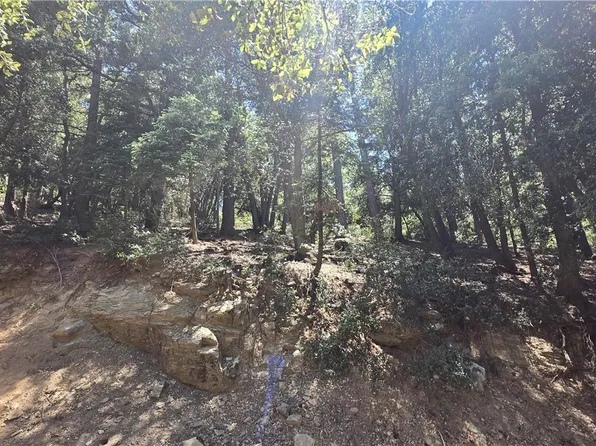 0 Mojave River Rd, Cedarpines Park, CA 92322